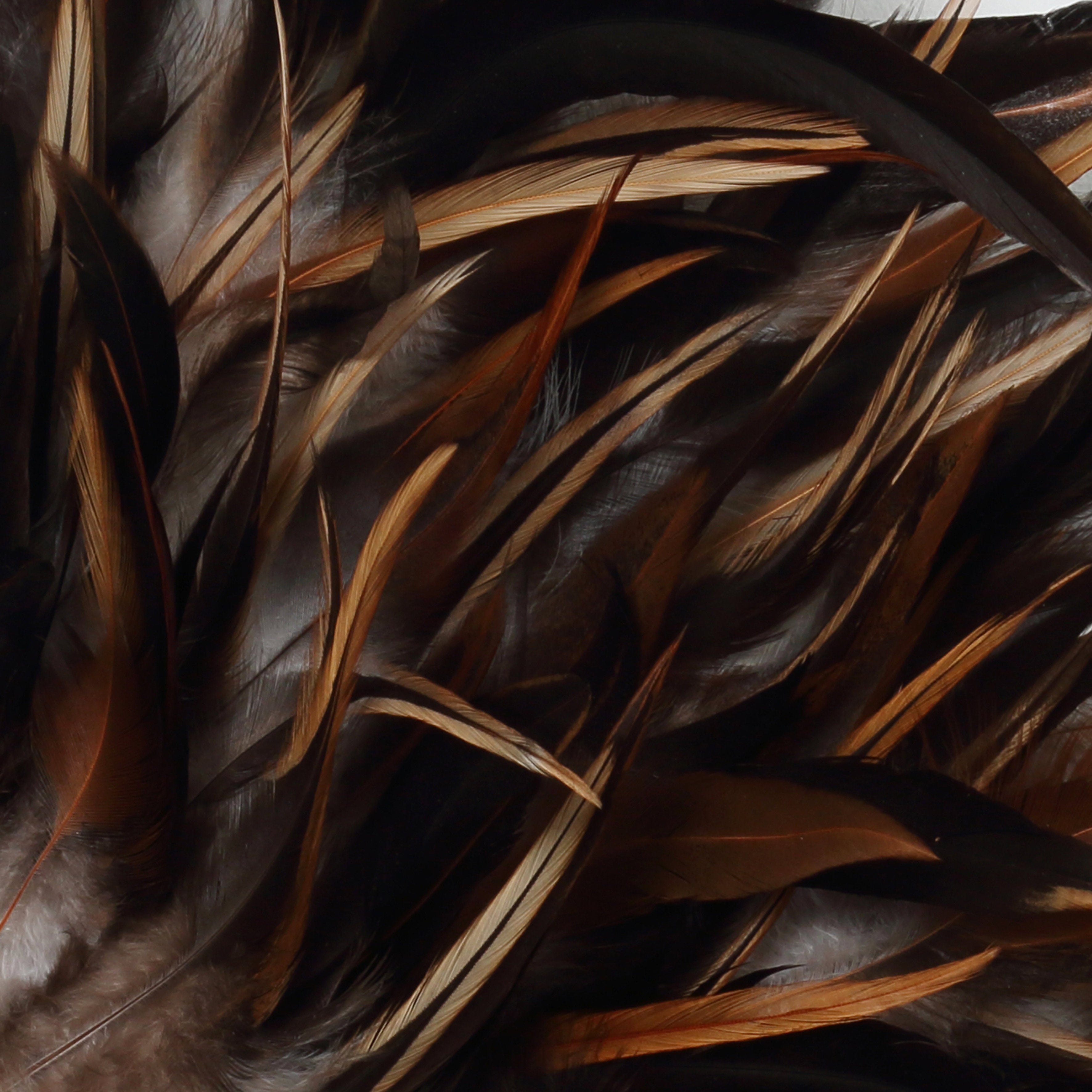 The Coastal Juju - Black Brown - M
