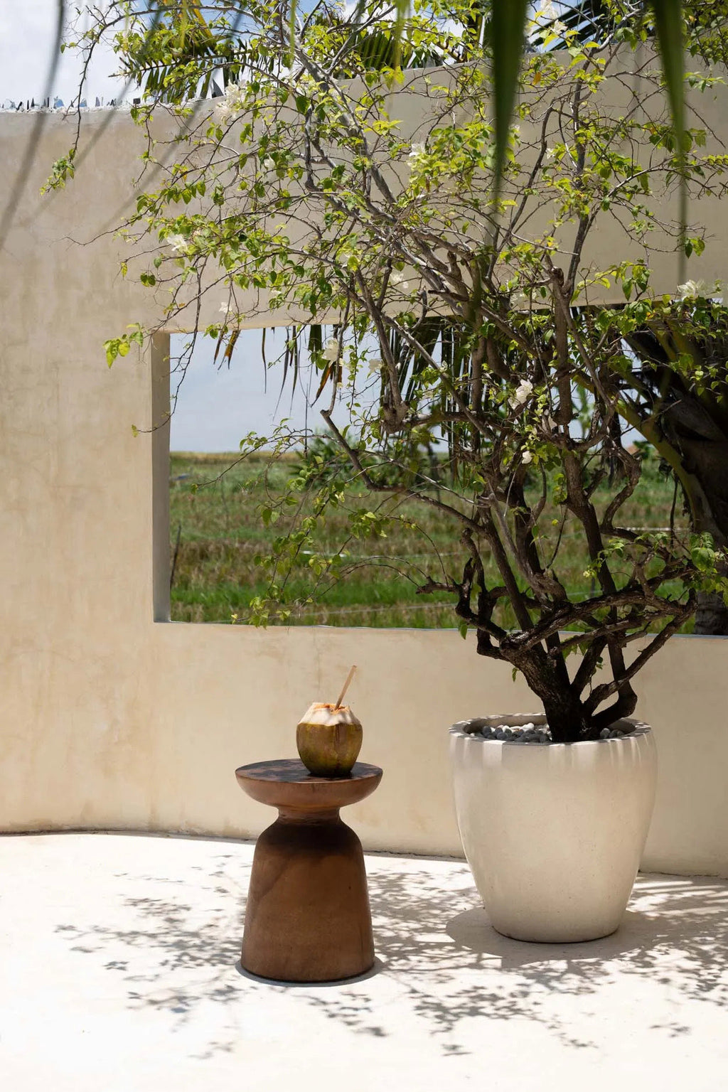 The Wakatobi Side Table - Natural