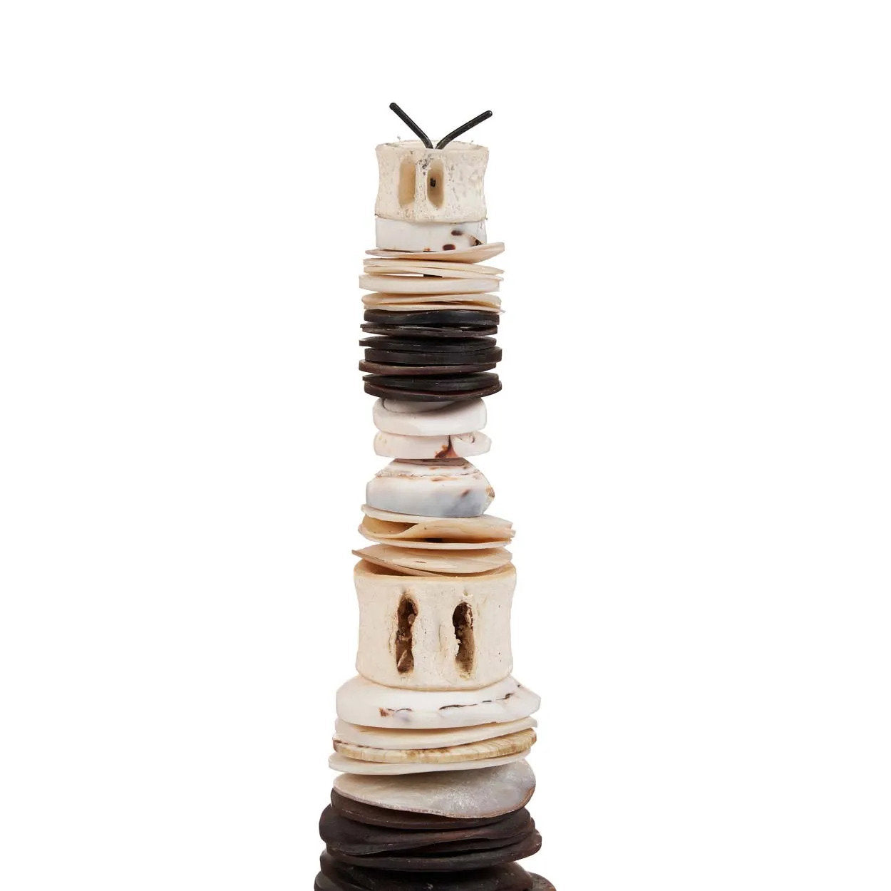 The Money Shell on Stand - Black White - M