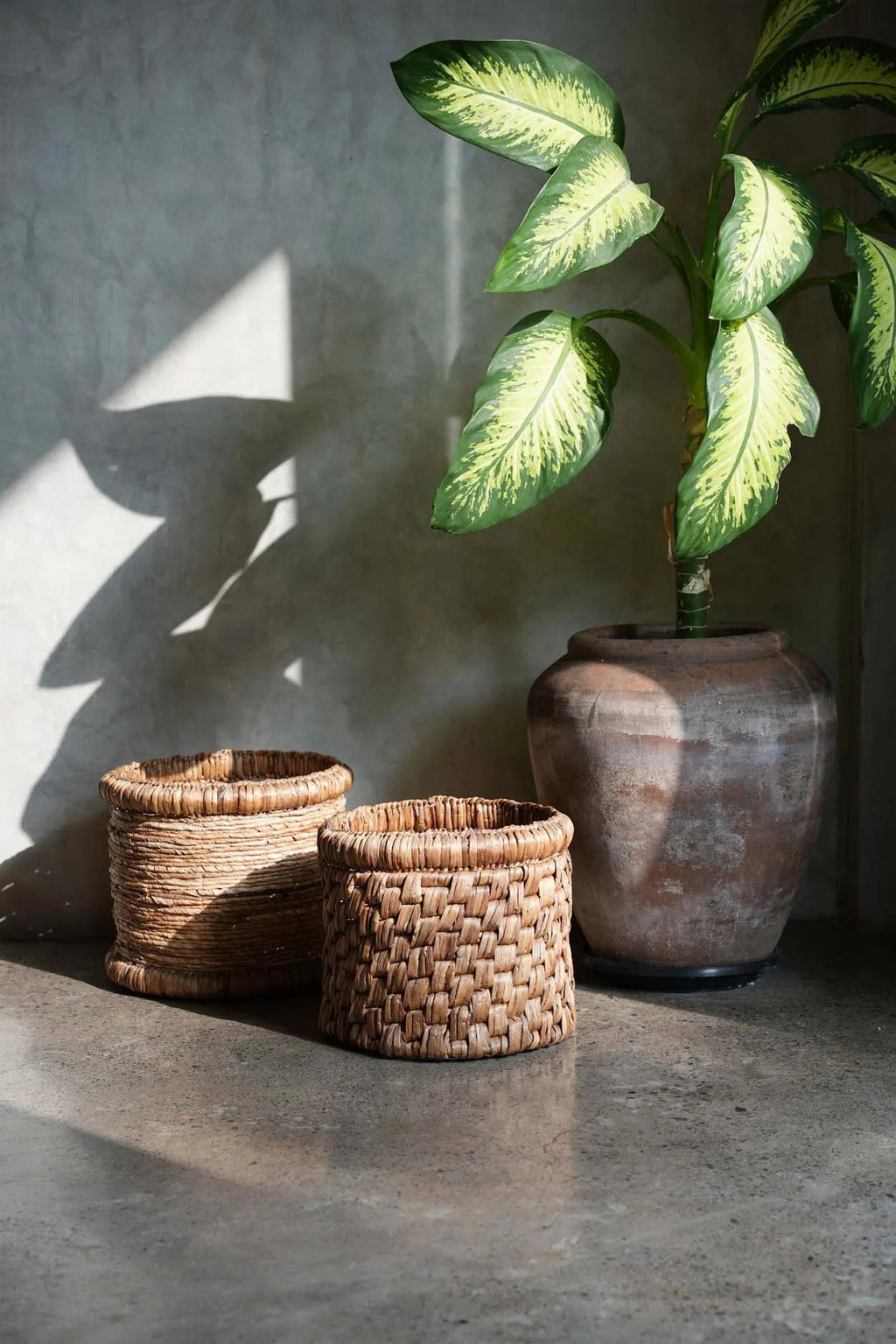 The Choppy Basket