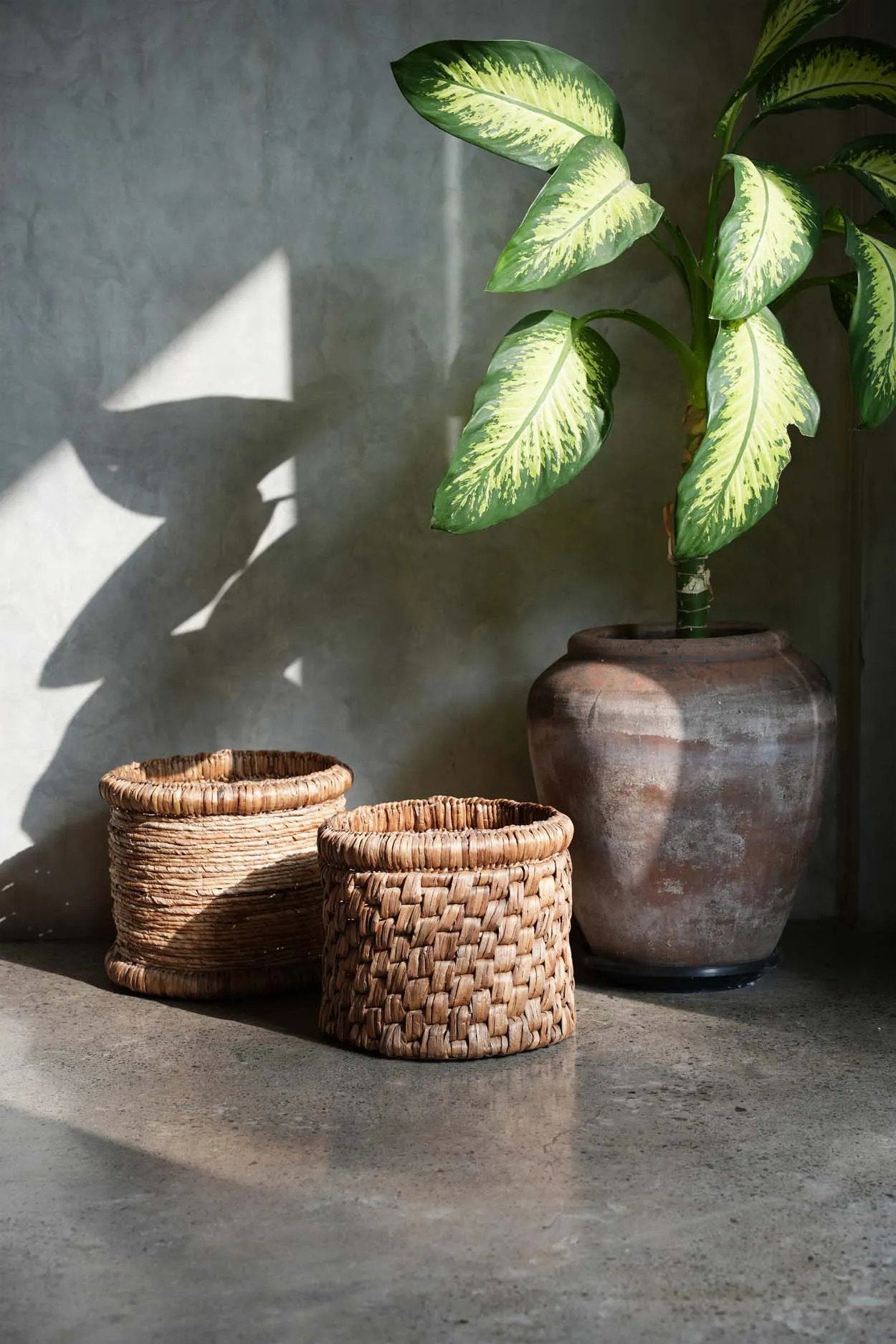 The Choppy Basket
