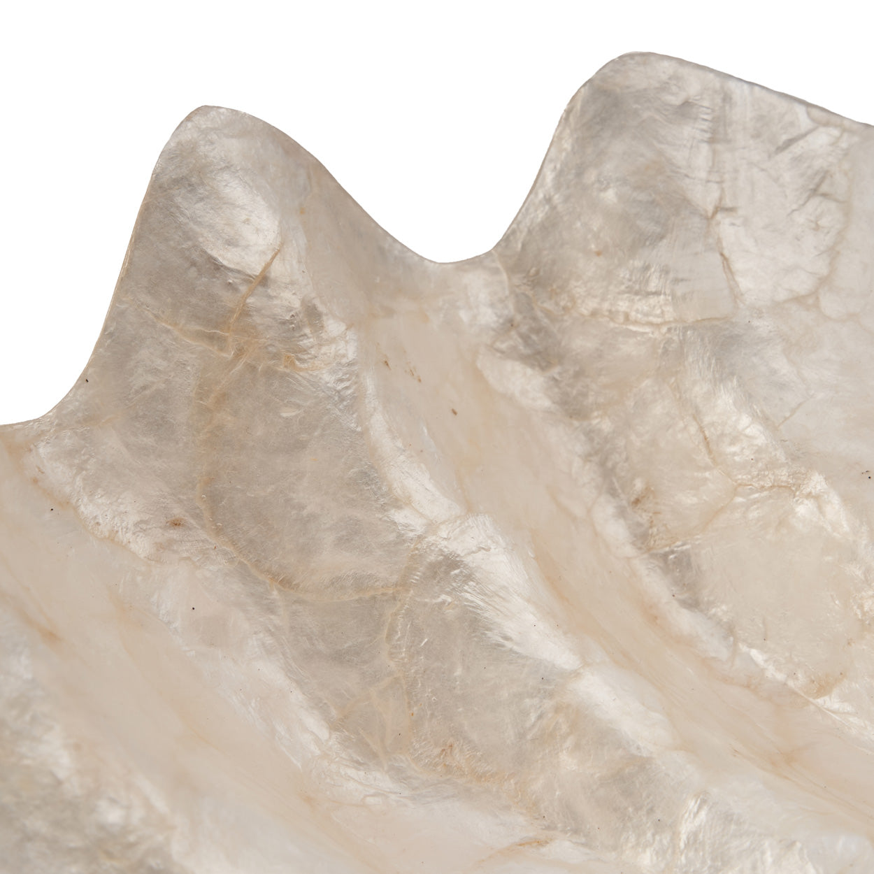 The Mother of Pearl Soap Dish - White - M