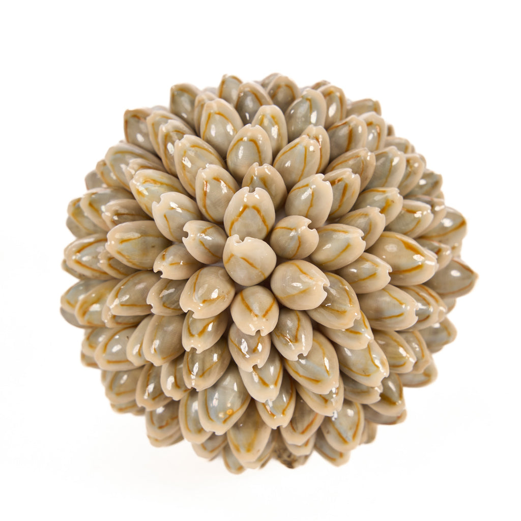 The Oluolu Shell Ball - S