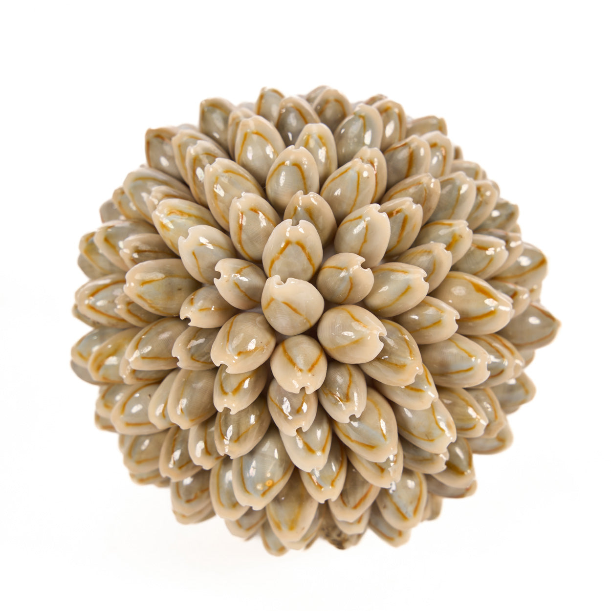 The Oluolu Shell Ball - S