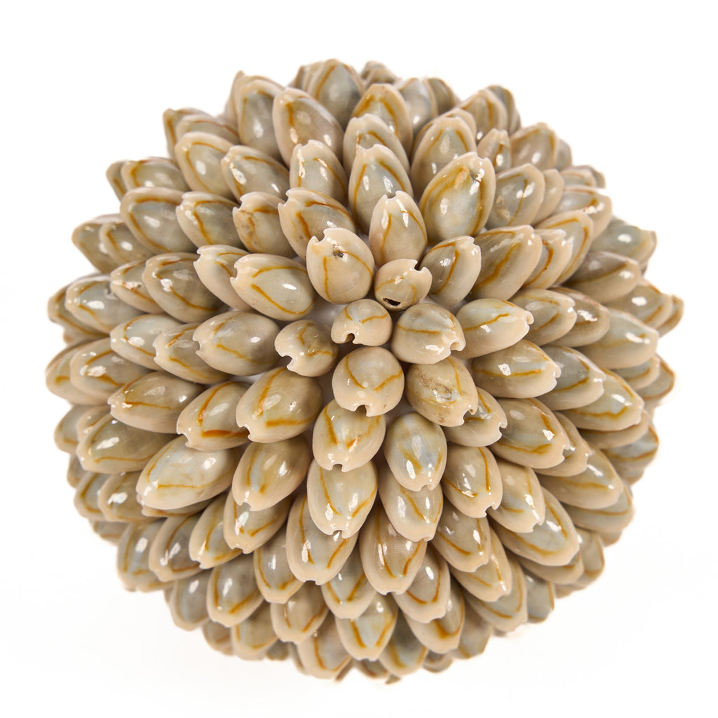 The Oluolu Shell Ball - M