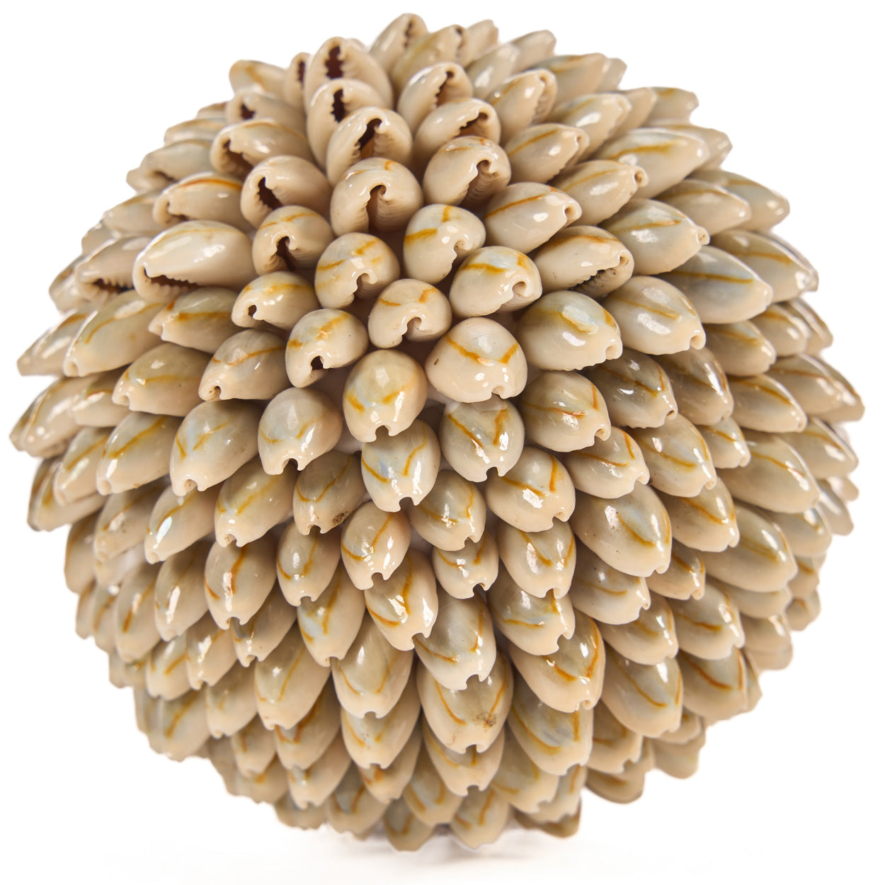 The Oluolu Shell Ball - M