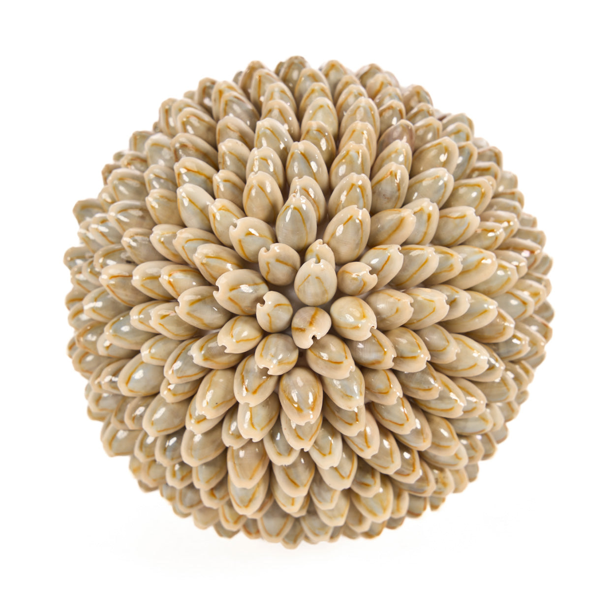 The Oluolu Shell Ball - L