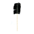 The Raffia Palmeira - Black