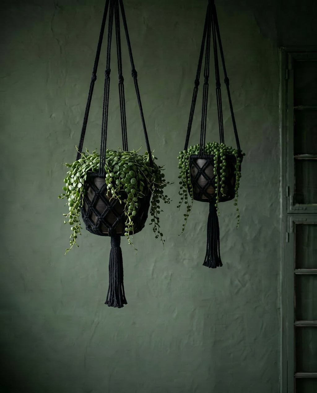 The Macrame Plant Holder - Black - M