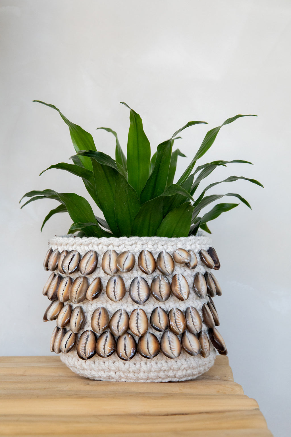 The Cowrie Macrame Planter - Natural Black - M