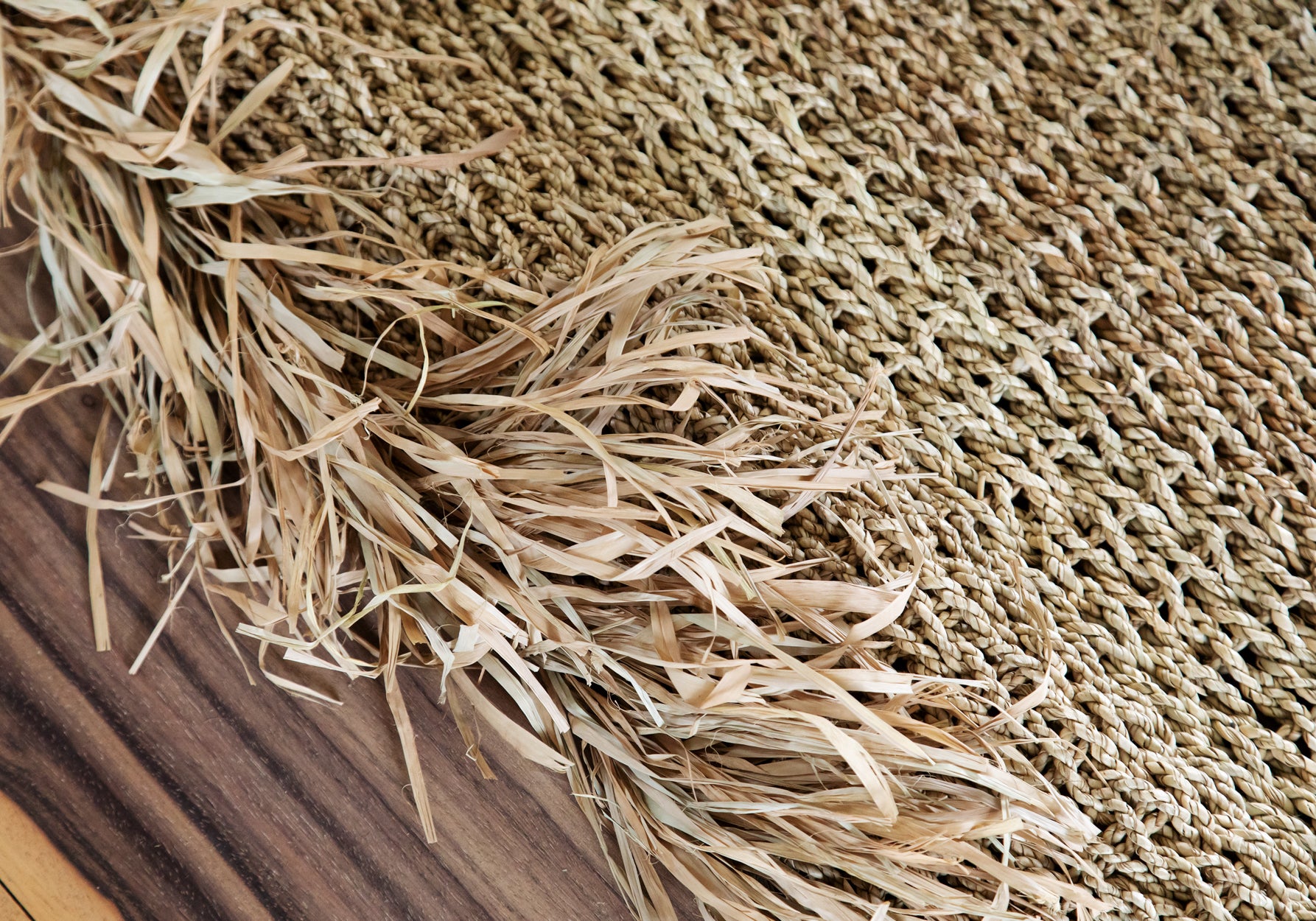 The Fringed Carpet - Natural - 200x300