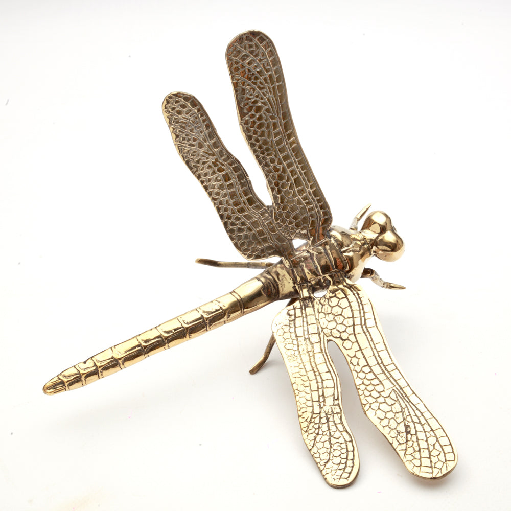The Dragonfly - Gold - L