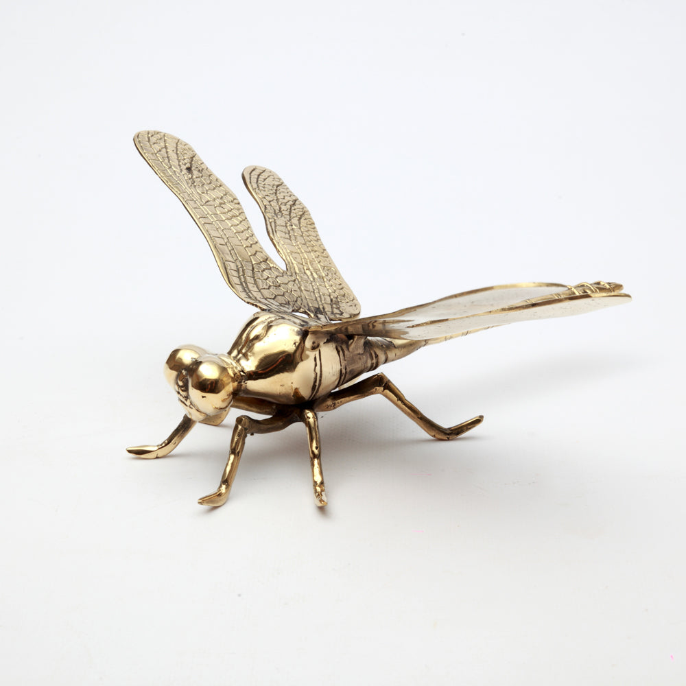 The Dragonfly - Gold - L