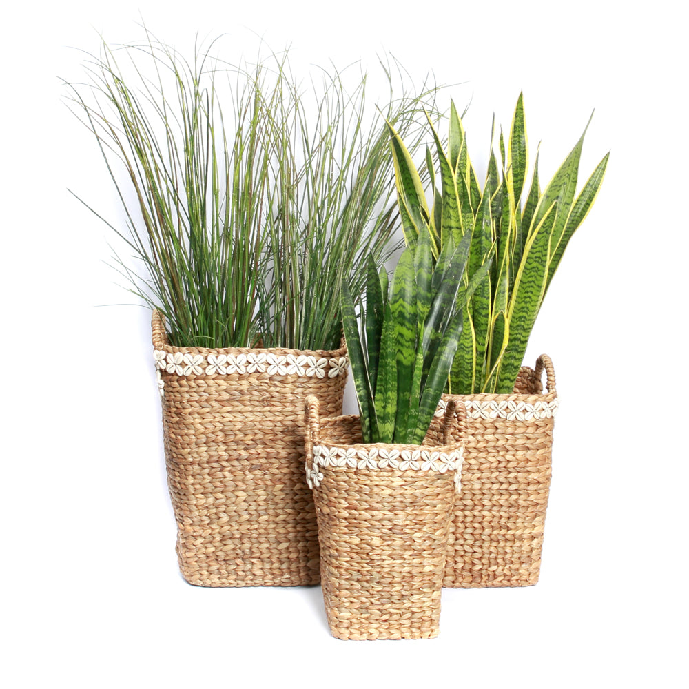 The Hyacinth Cowrie Flower Basket SET3