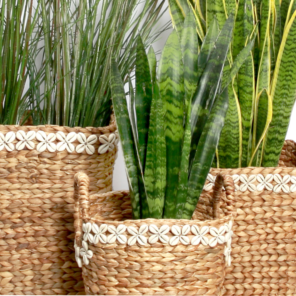 The Hyacinth Cowrie Flower Basket SET3