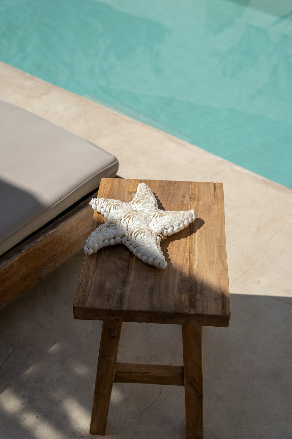 The Star Shell - White - L