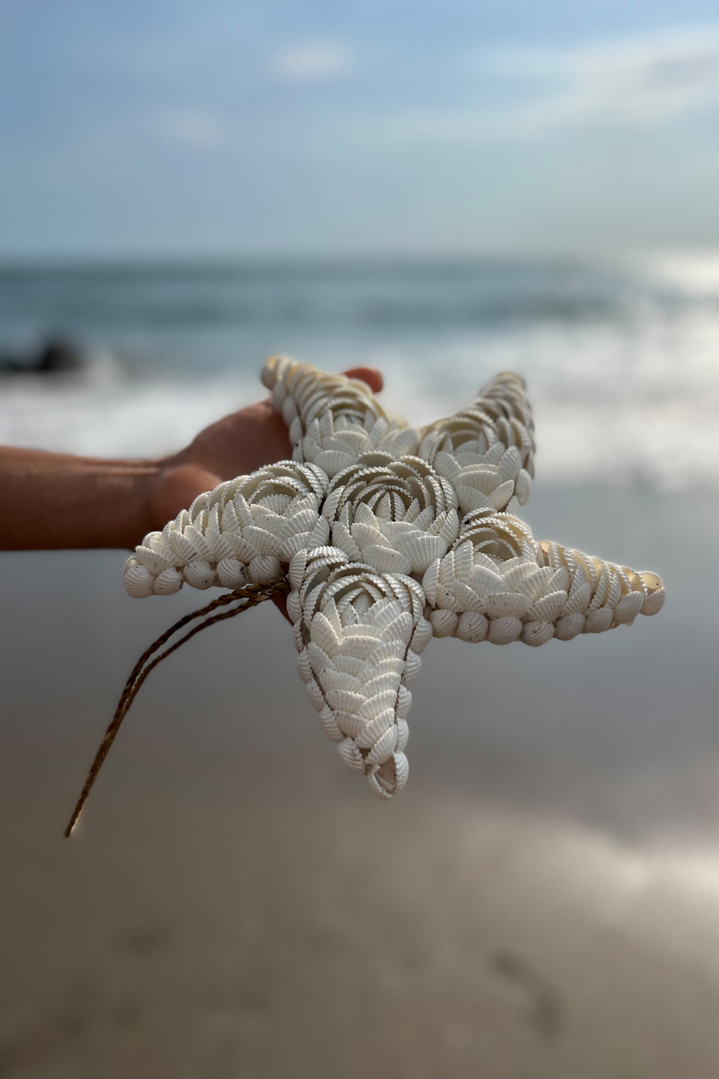 The Star Shell - White - L