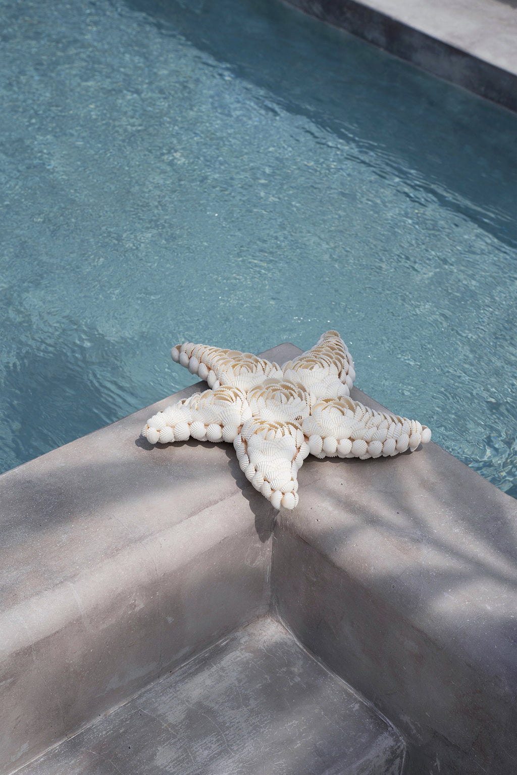 The Star Shell - White - L
