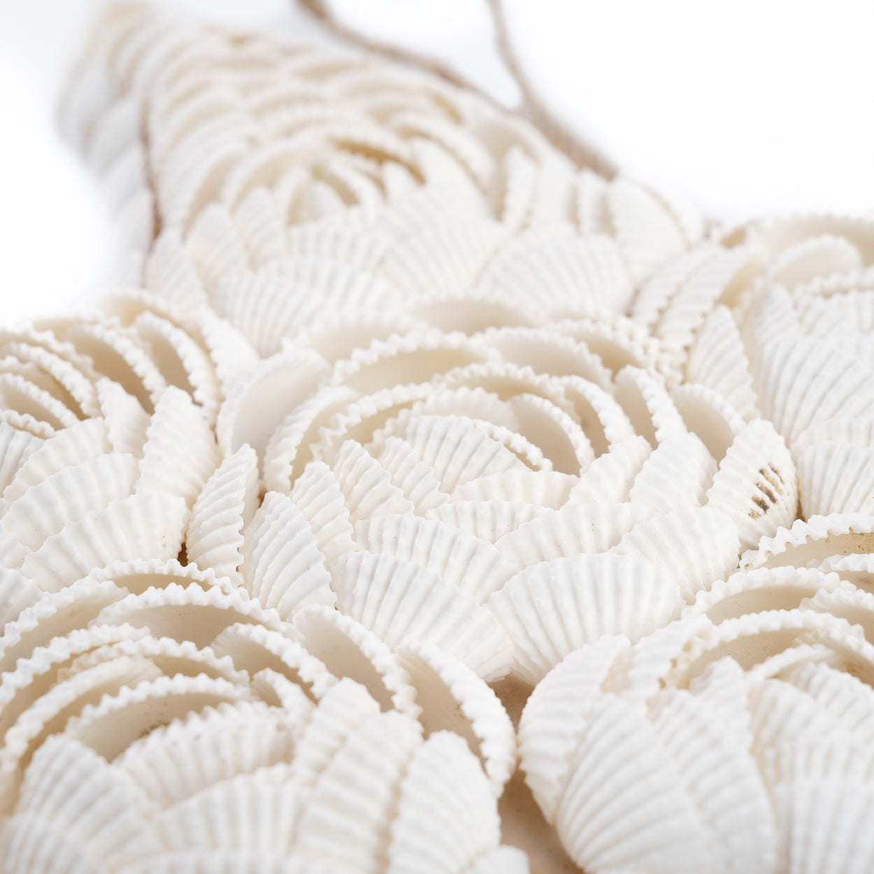 The Star Shell - White - L