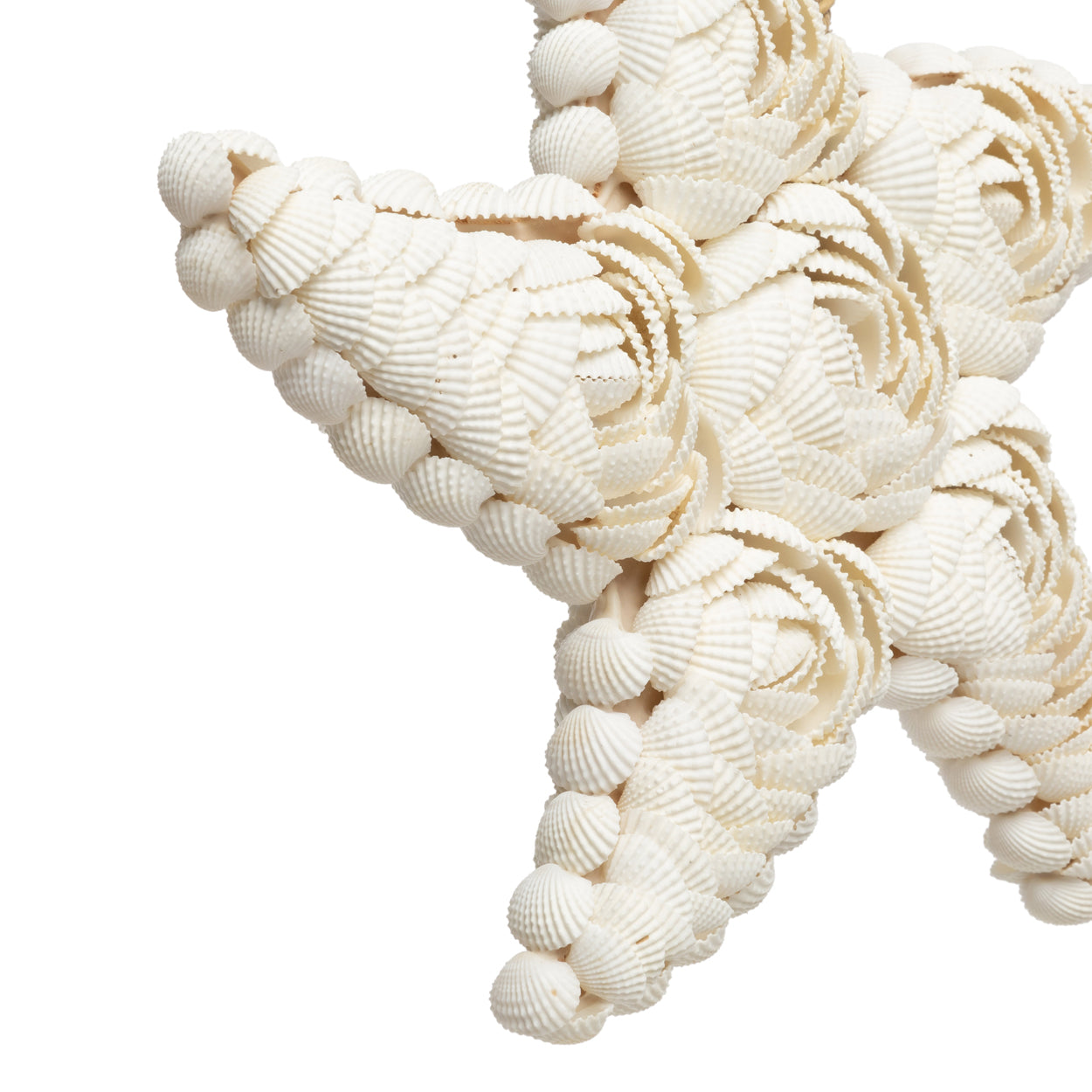 The Star Shell - White - L