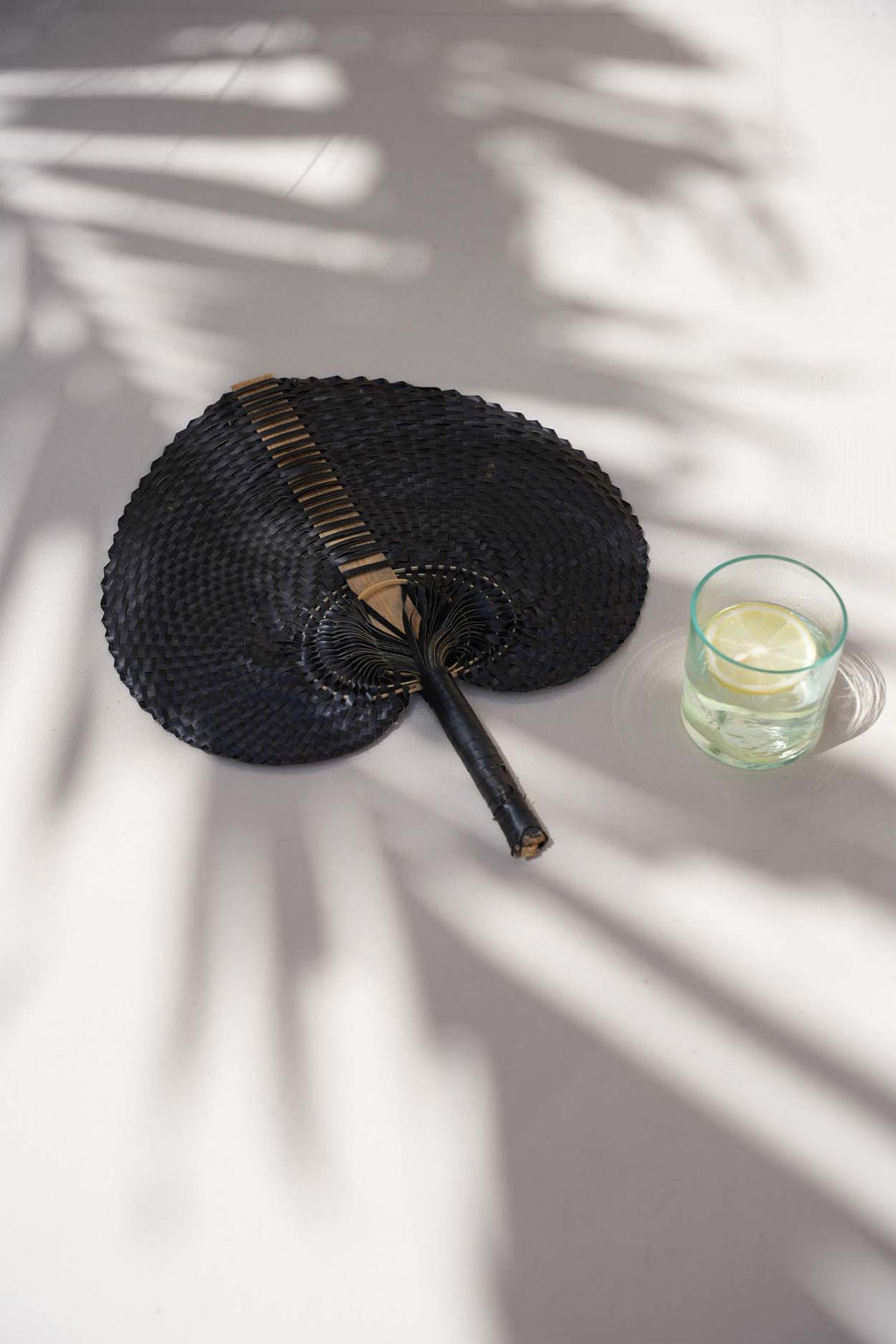 The Fan - Black