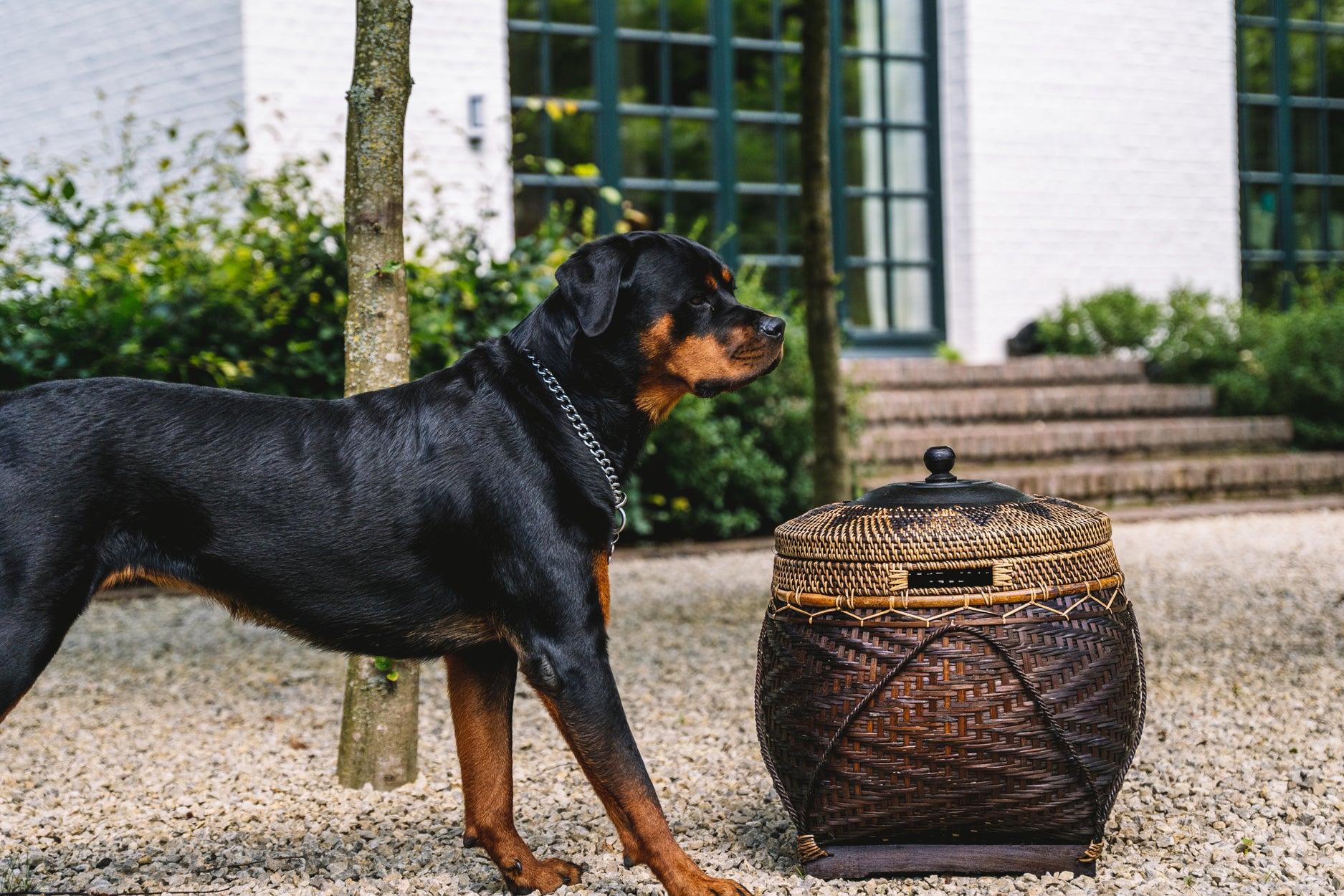 The Colonial Basket - Natural Brown