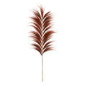 The Stunning Leaf - Pecan Brown