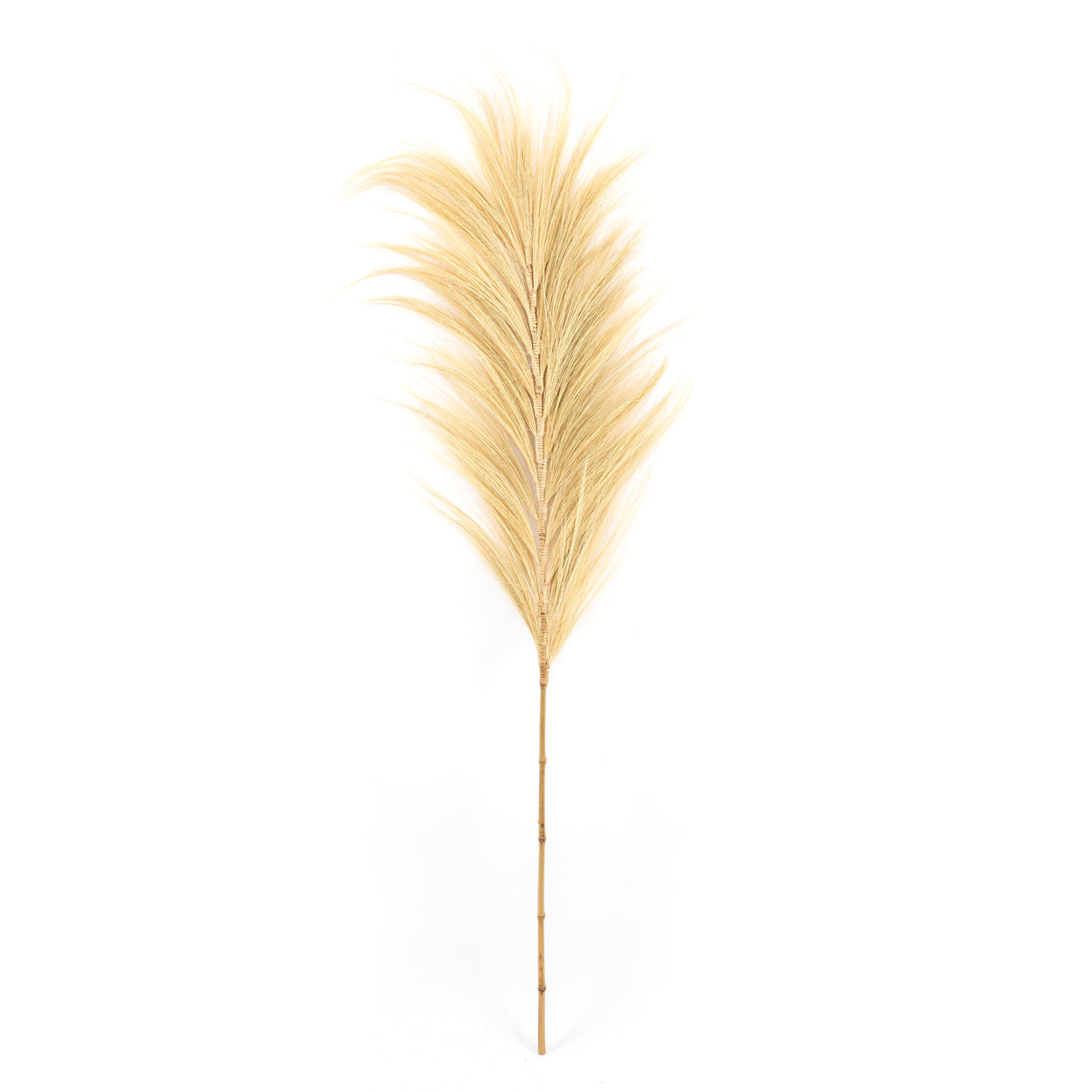 The Stunning Leaf - Natural