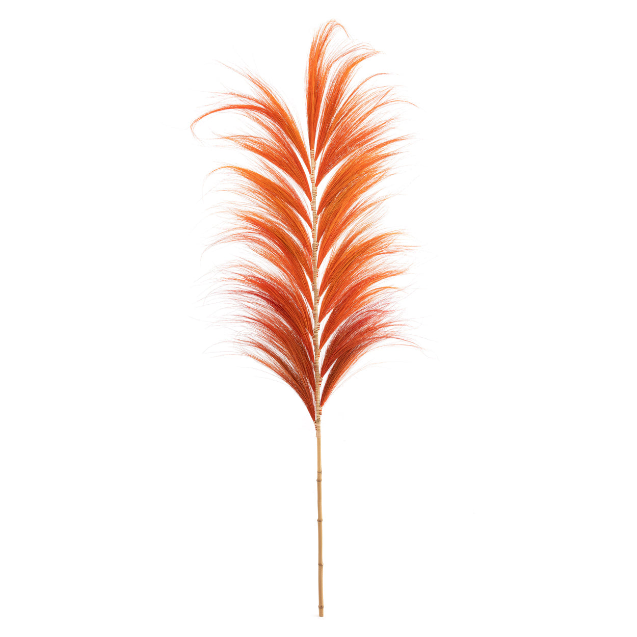 The Stunning Leaf - Tangerine Orange