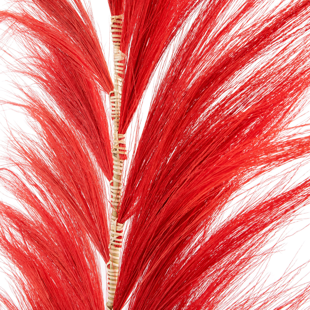 The Stunning Leaf - Vibrant Red