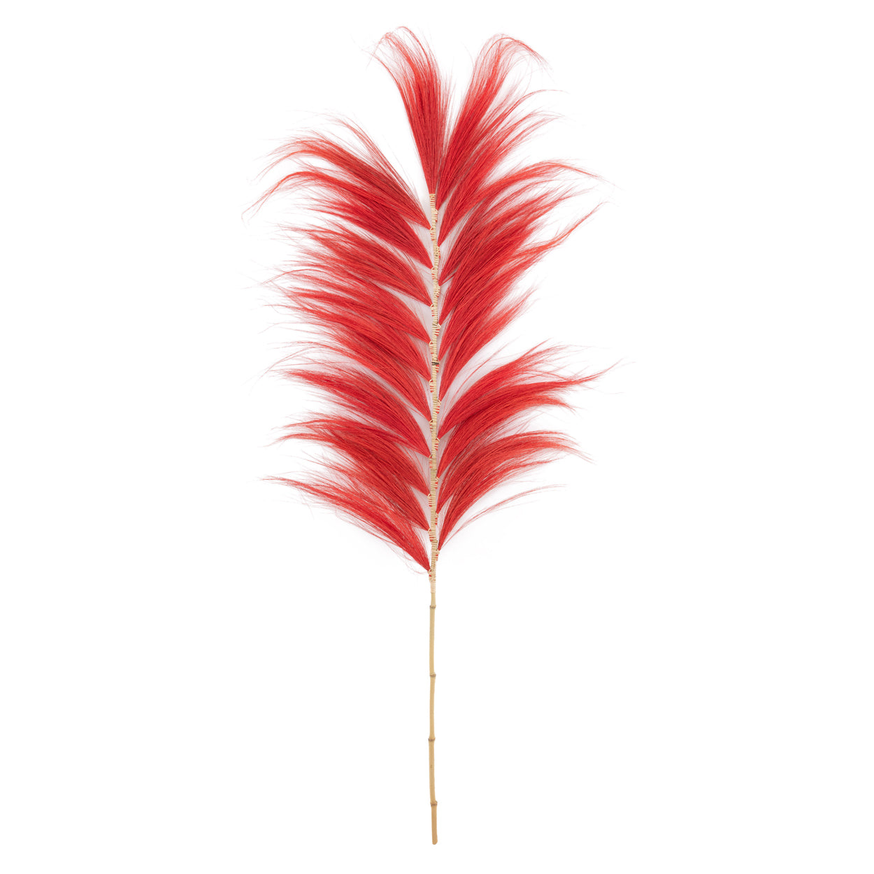 The Stunning Leaf - Vibrant Red