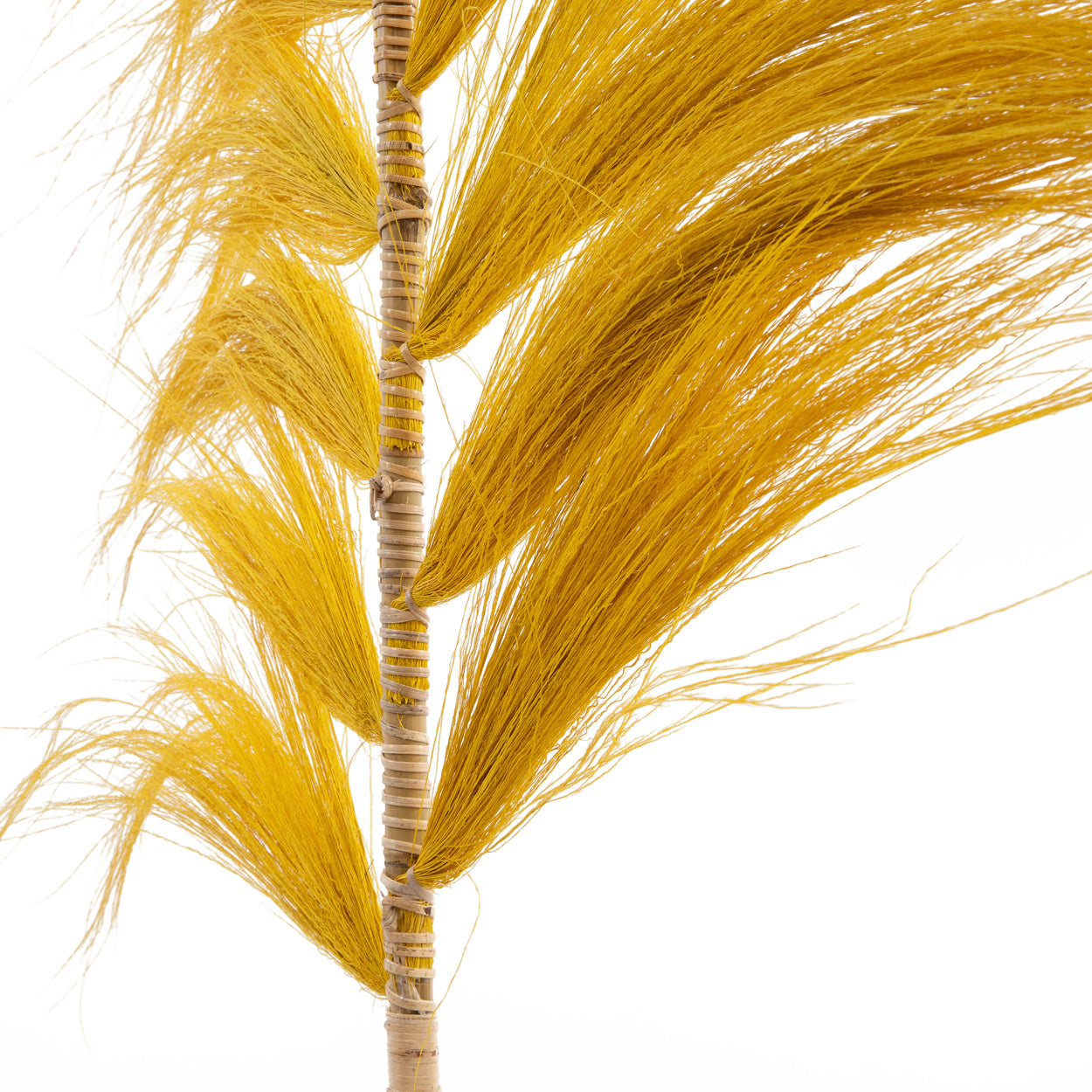 The Stunning Leaf - Madras Yellow