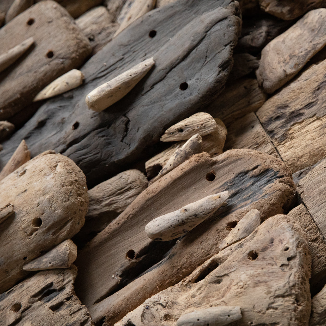 The Driftwood Faces