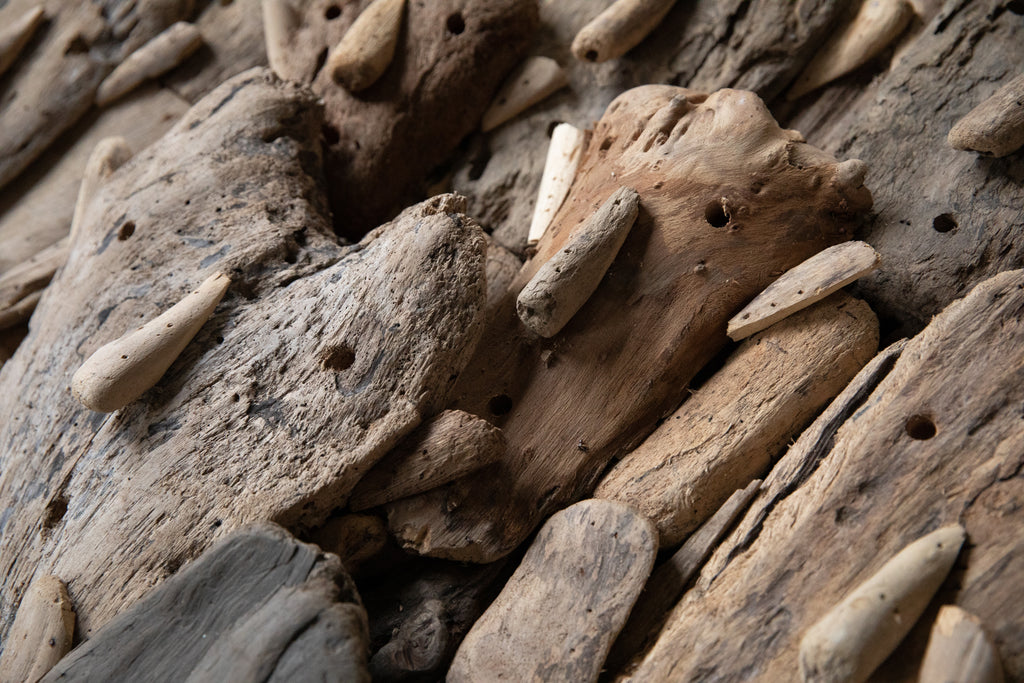 The Driftwood Faces