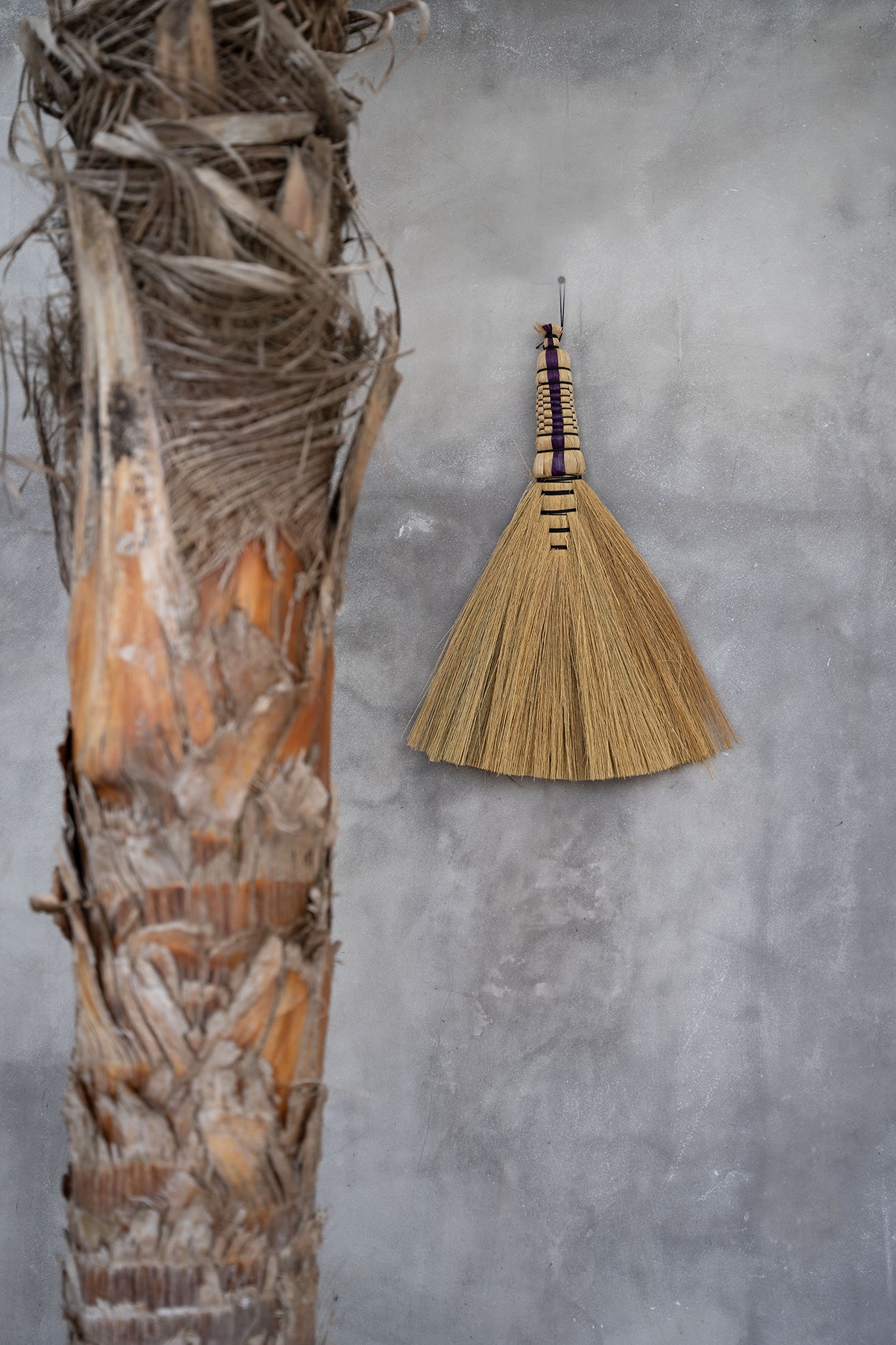 The Sweeping Brush - Natural